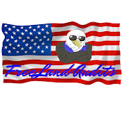 FreeLand Audits