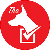 The Watchdog Wire
